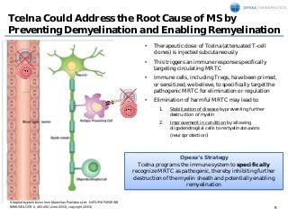 8
Tcelna Could Address the Root Cause of MS by
Preventing Demyelination and Enabling Remyelination
Adapted by permission f...